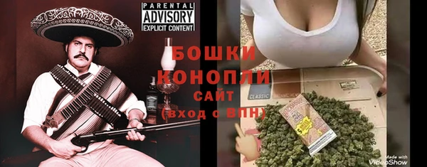 круглые Гусев